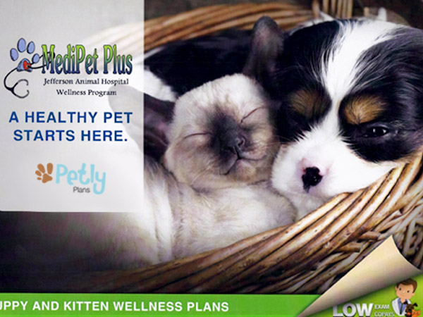 MediPet Plus for Puppies and Kittens at Fern Creek Medical Center