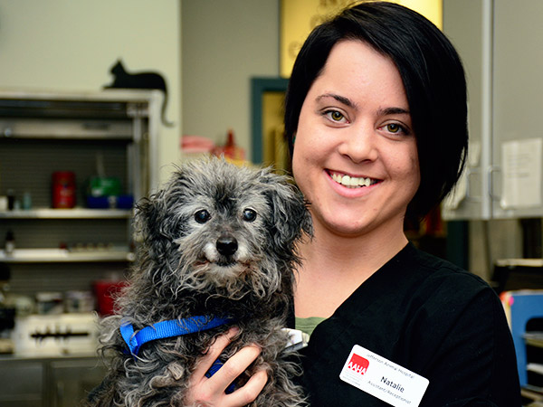 Senior Dog & Cat Care at Fern Creek Medical Center